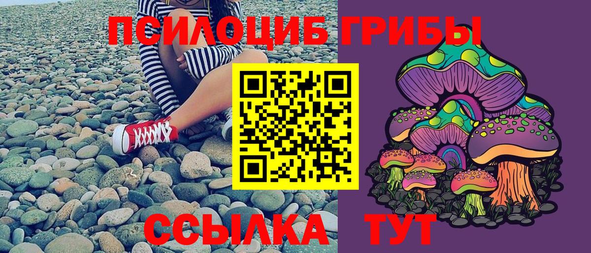 Галлюциногенные грибы Magic Shrooms Арзамас